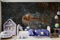 Cosmic-themed wall mural with constellations and celestial details for bedrooms or living rooms.