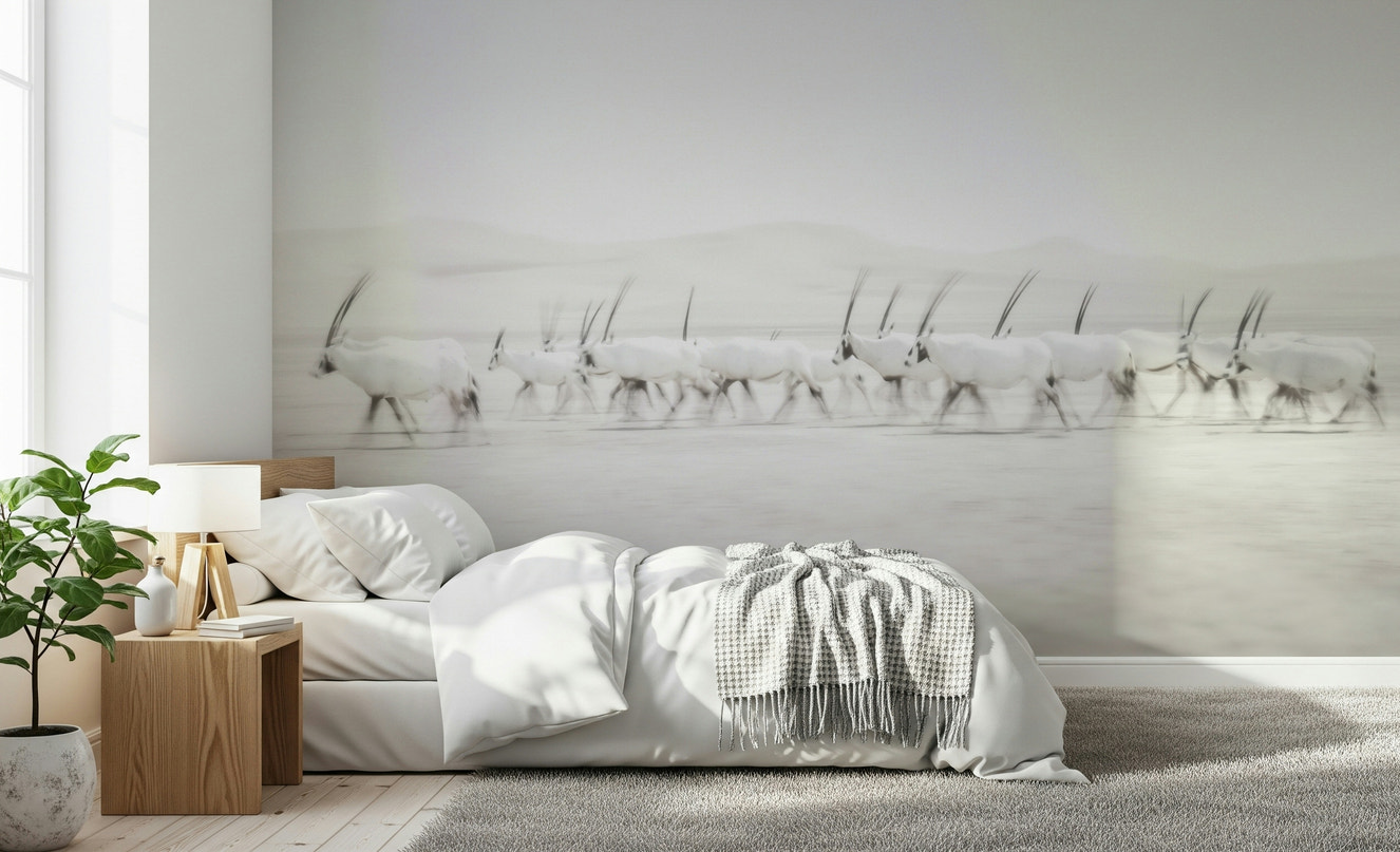 Oryx Mirage Wall Mural – Desert-inspired mural featuring elegant oryx antelopes against a soft, mirage-like background.