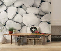 Organic-inspired wall mural featuring white pebbles for contemporary, serene decor.
