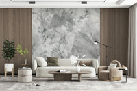 Wall mural with detailed gray marble veins for modern, elegant interiors.