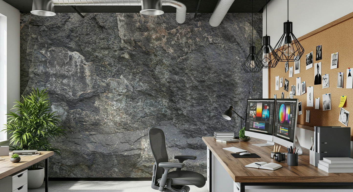 Rocky Surface Wall Mural -2566618