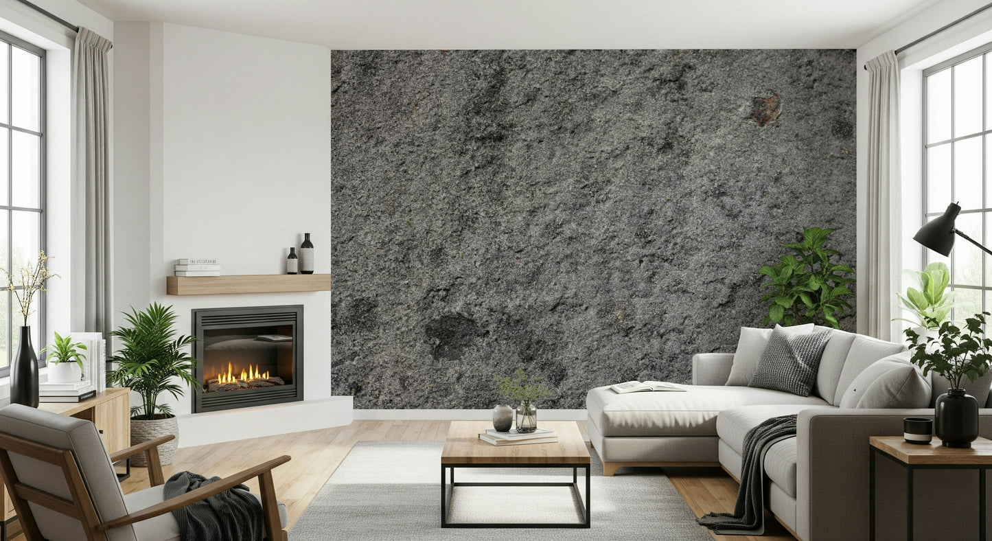 Granite Gray Wall Wall Mural -2566594
