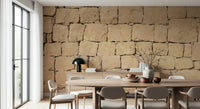 Warm brown wall mural inspired by natural soil and mud textures for cozy, organic interior design.