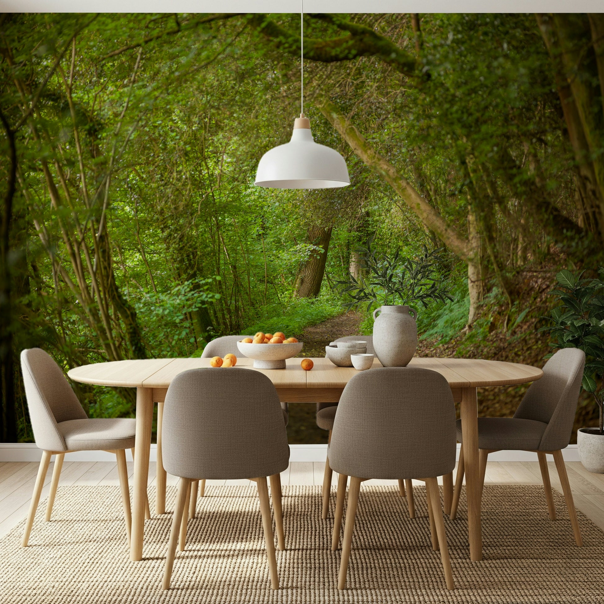 Forested nature wallpaper quiet dirt track serene setting.