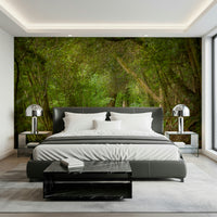 Green shaded walkway wall mural natural arboreal setting design.