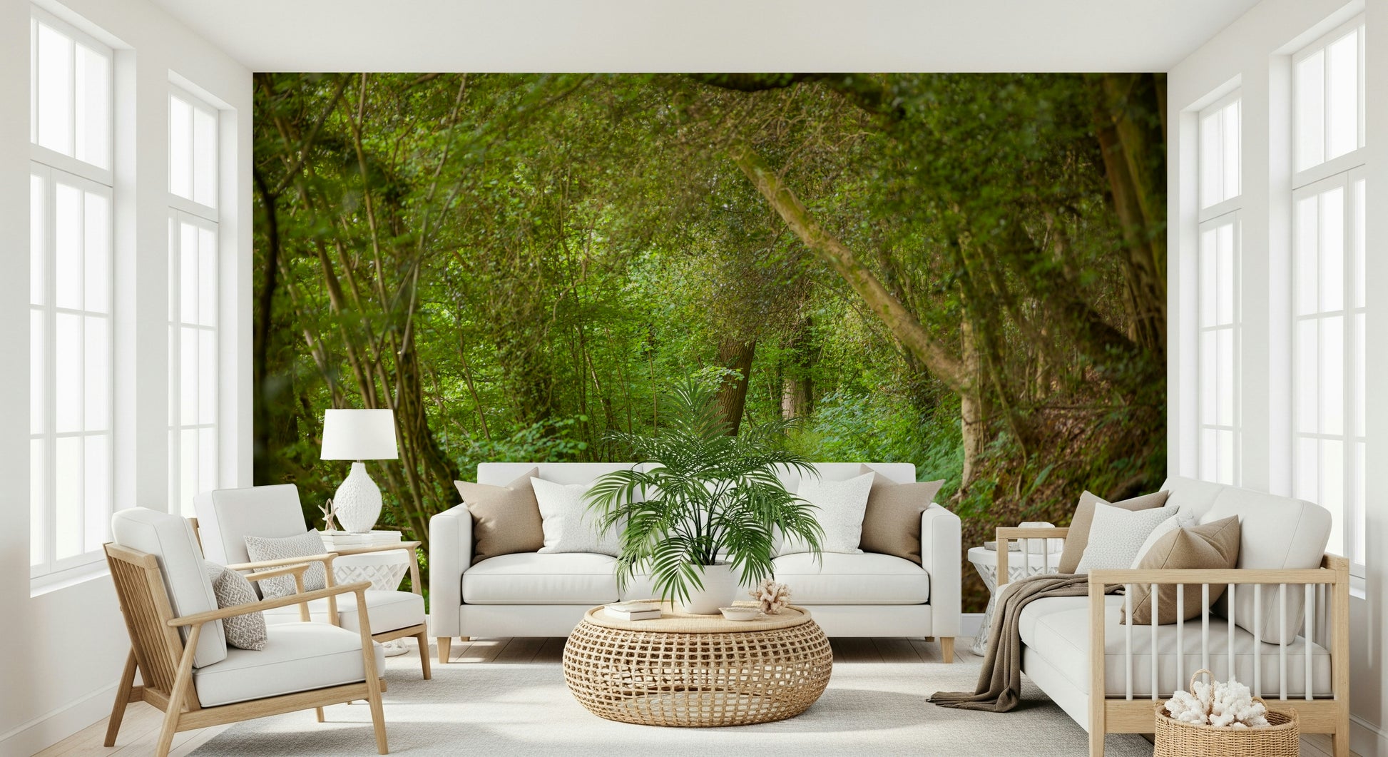 Solitary path mural thick growth arched trees ambient lighting.