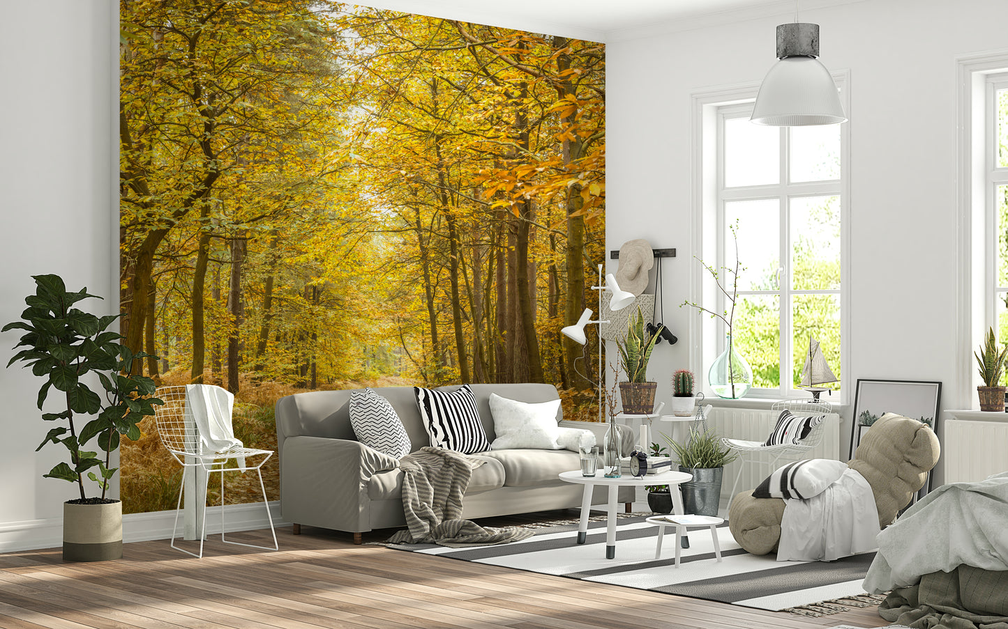 Premium quality Golden Canopy Trail wall covering of a fall woodland track.