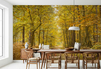 Golden Canopy Trail mural wallpaper autumnal forest pathway scene vista.