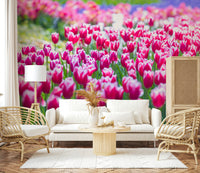 Amazing purple and crimson Tulip Wonderland bloom mural.