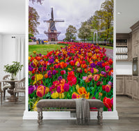 Tulip Windmill Garden product wallpaper iconic windmill foreground tulips