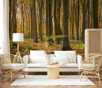 Tranquil Gilded Woods mural for walls, capturing a glorious day.