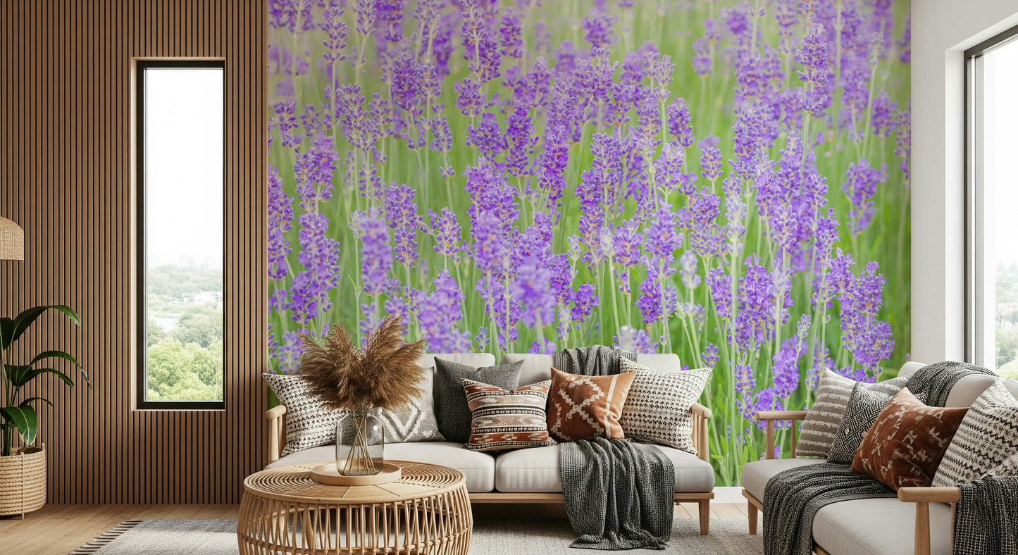 Delicate mauve wildflowers, a stunning Field Dream wall accent.