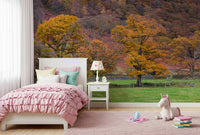 A warm and inviting autumn wallpaper featuring a lush forest turning shades of gold.