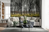 Forest wallpaper with bright sunbeams shining between winter trees over a moss-covered landscape.