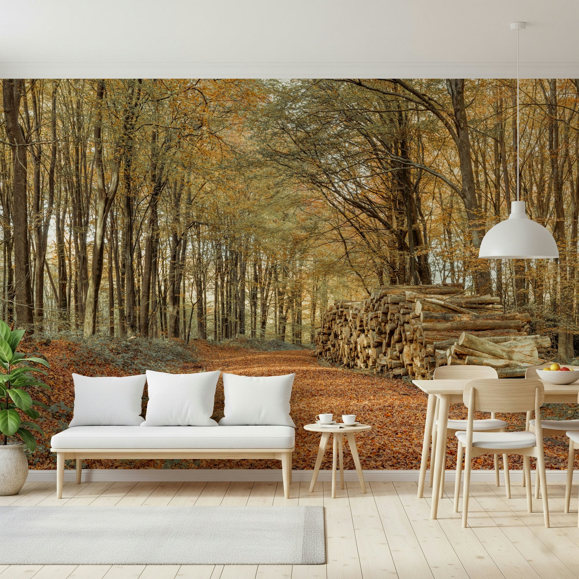 Deep forest atmosphere, serene nature display, Autumn Forest Scene artwork.
