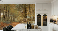 Panoramic forest view, fallen leaves, tranquil Autumn Forest Scene art.