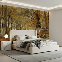 Golden woodland path, tall trees, Autumn Forest Scene wallpaper accent.