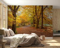 Breathtaking fall foliage, sunlit grove, Pathway Covered in Fall Leaves mural design.