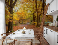 Pathway Covered in Fall Leaves scene for walls, inviting natural ambience.