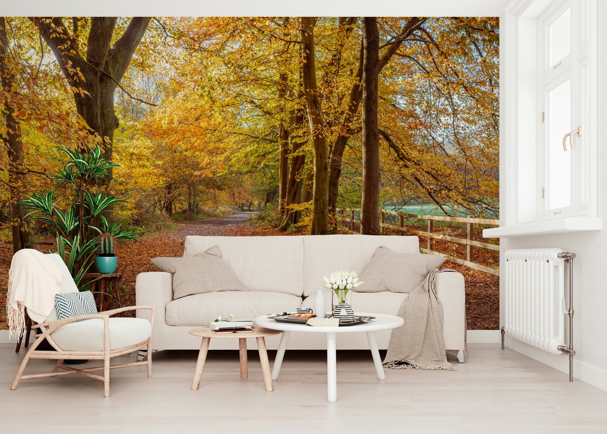 Elegant autumnal theme, wooden fence line, Pathway Covered in Fall Leaves mural.