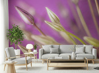 This wallpaper features delicate purple allium buds captured in a soft, dreamy close-up.