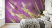 A calming wallpaper showcasing slender allium buds set against a smooth purple background.