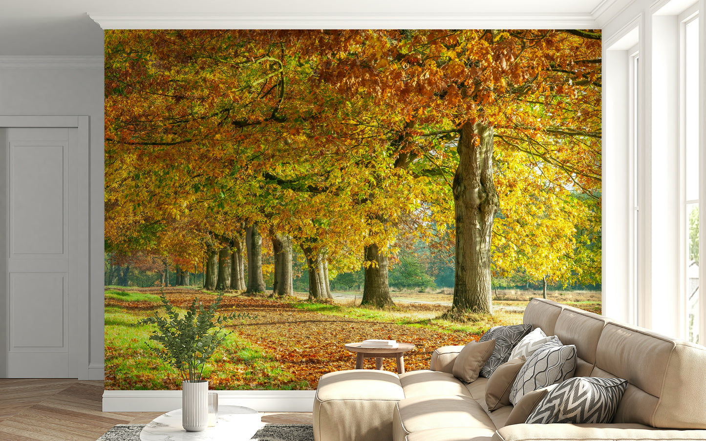 Autumn's Avenues Wall Mural