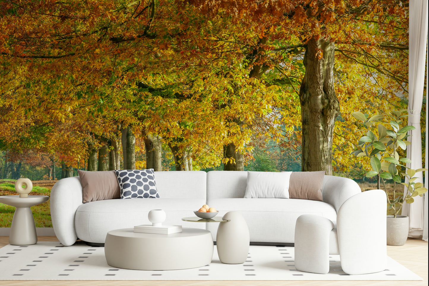 Autumn's Avenues Wall Mural