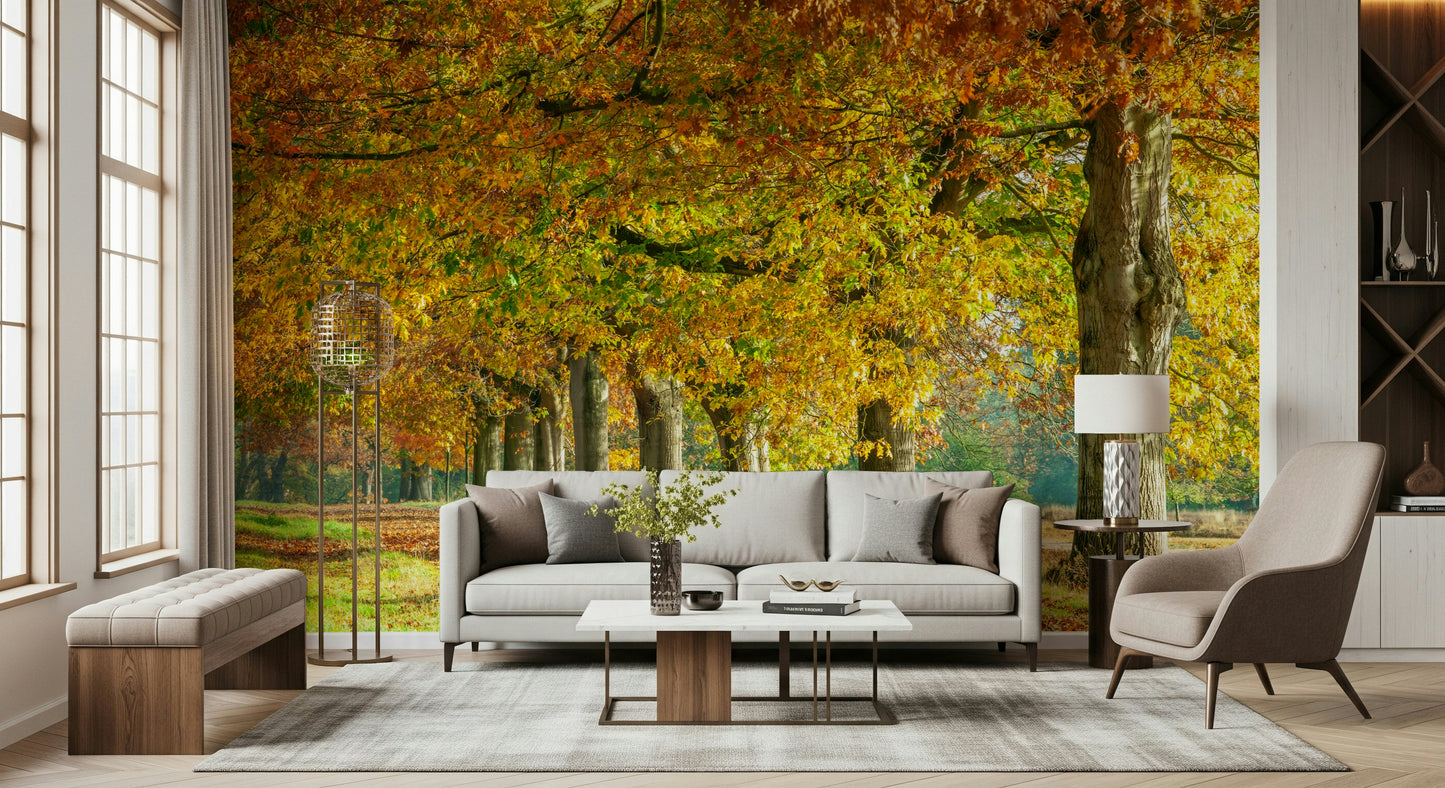 Autumn's Avenues Wall Mural