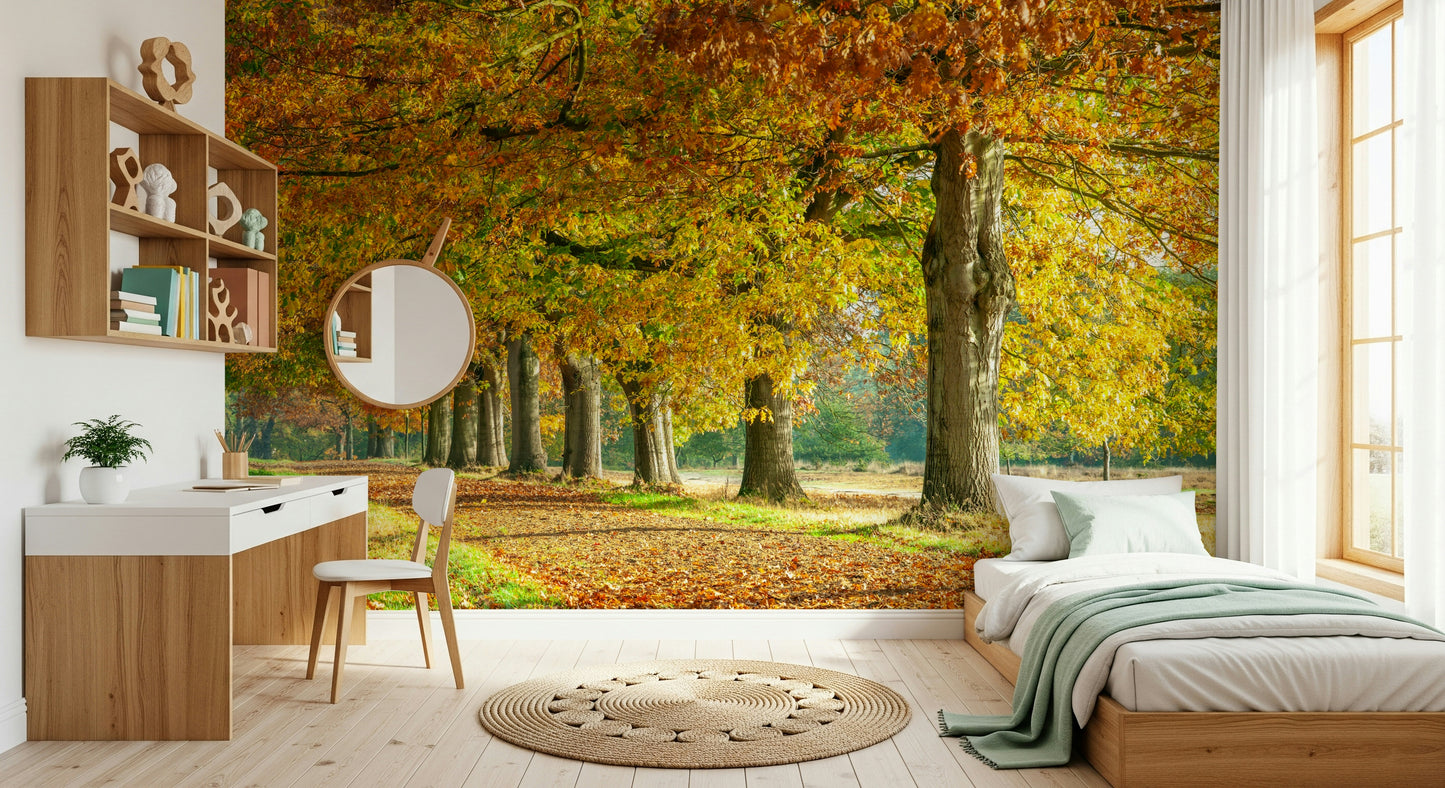 Autumn's Avenues Wall Mural