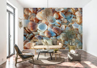 Natural seaside Coastal shells close-up wallpaper texture.