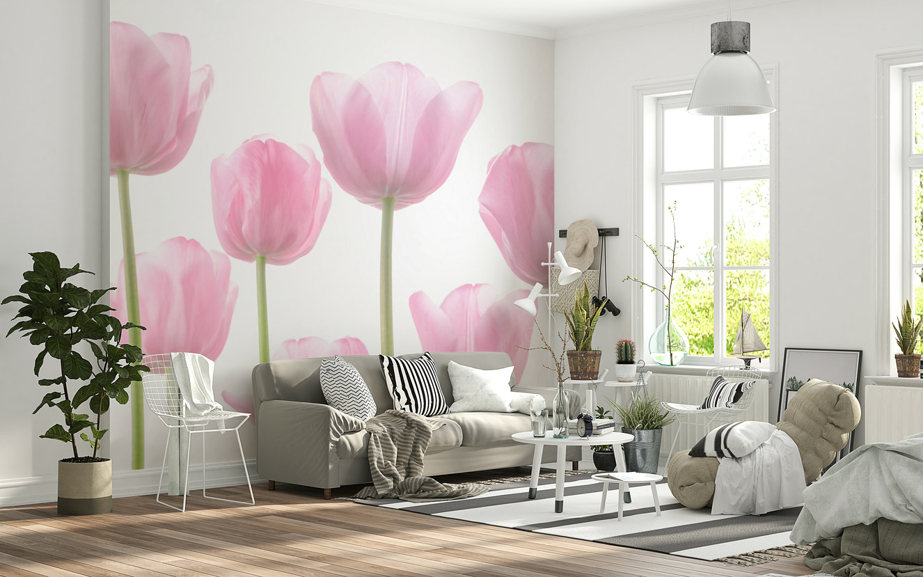 Soft pastel Tulip Bulbs bloom wall mural close-up.