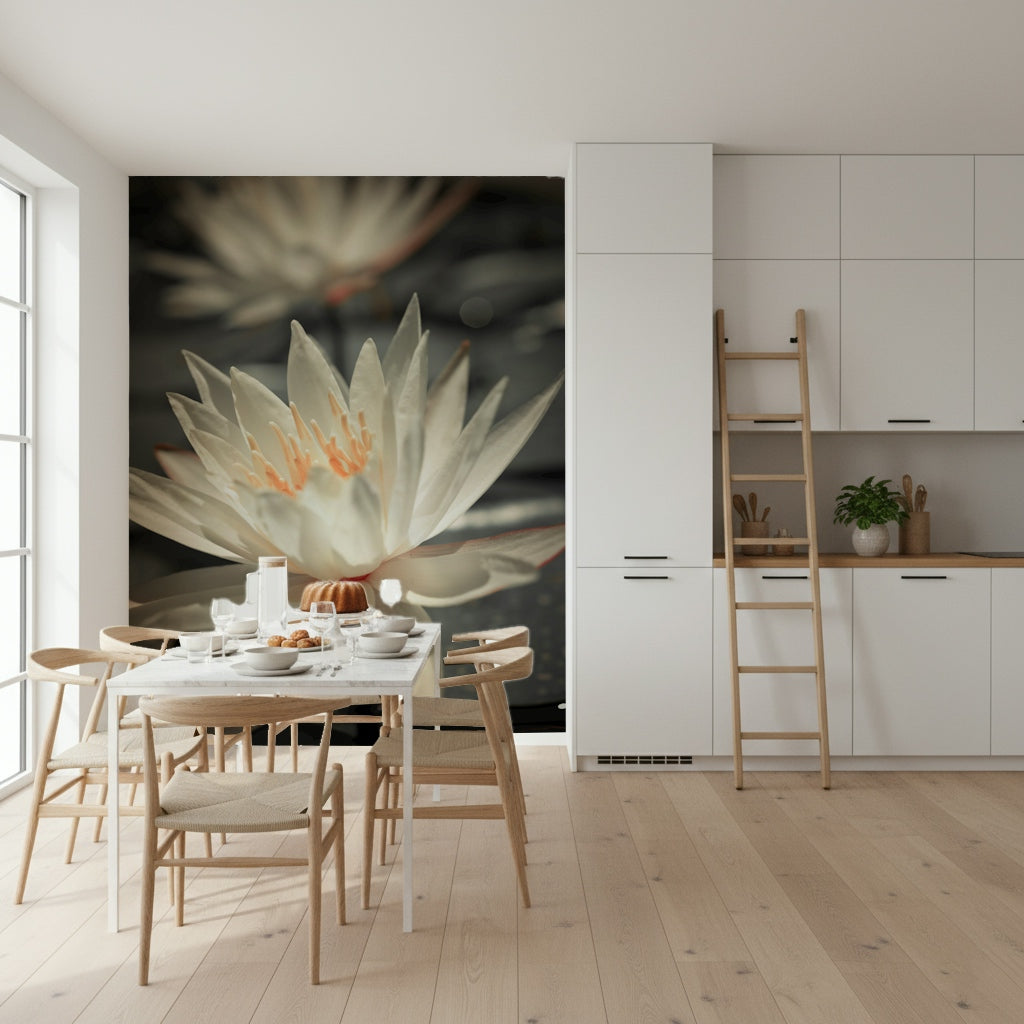 Water Lily flower closeup artistic photography wallpaper black white.