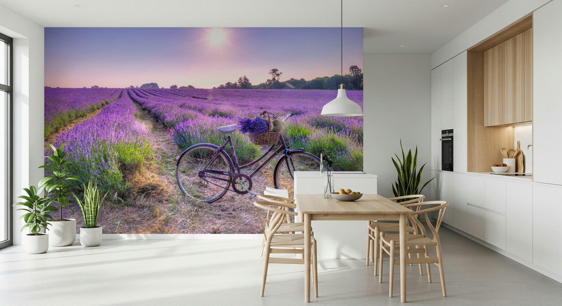Sunlit Lavender Ride scenic mural, blooming aromatic blossoms.