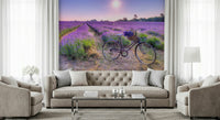 Flowering Lavender Ride field at dusk, relaxing summer evening mural.