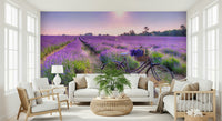 Romantic Lavender Ride scene, vintage bike in purple meadow wallpaper.