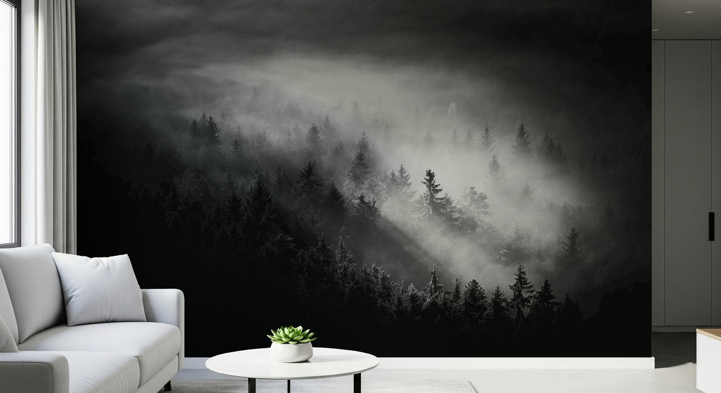 Wall mural Foggy Forest Woodland, shadowy woods, inspiring powerful ambiance.
