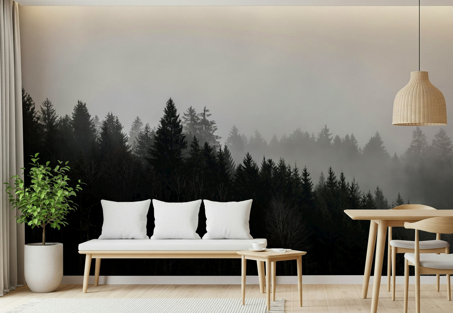 Moody mist covers dark pine trees, a Canyon Woodland Haze wallpaper.