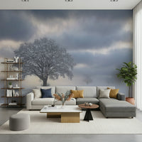 Wallpaper for walls, crisp air, foggy background, picturesque view.