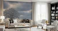 Tranquil winter scene, forest wallpaper, calming natural beauty print.
