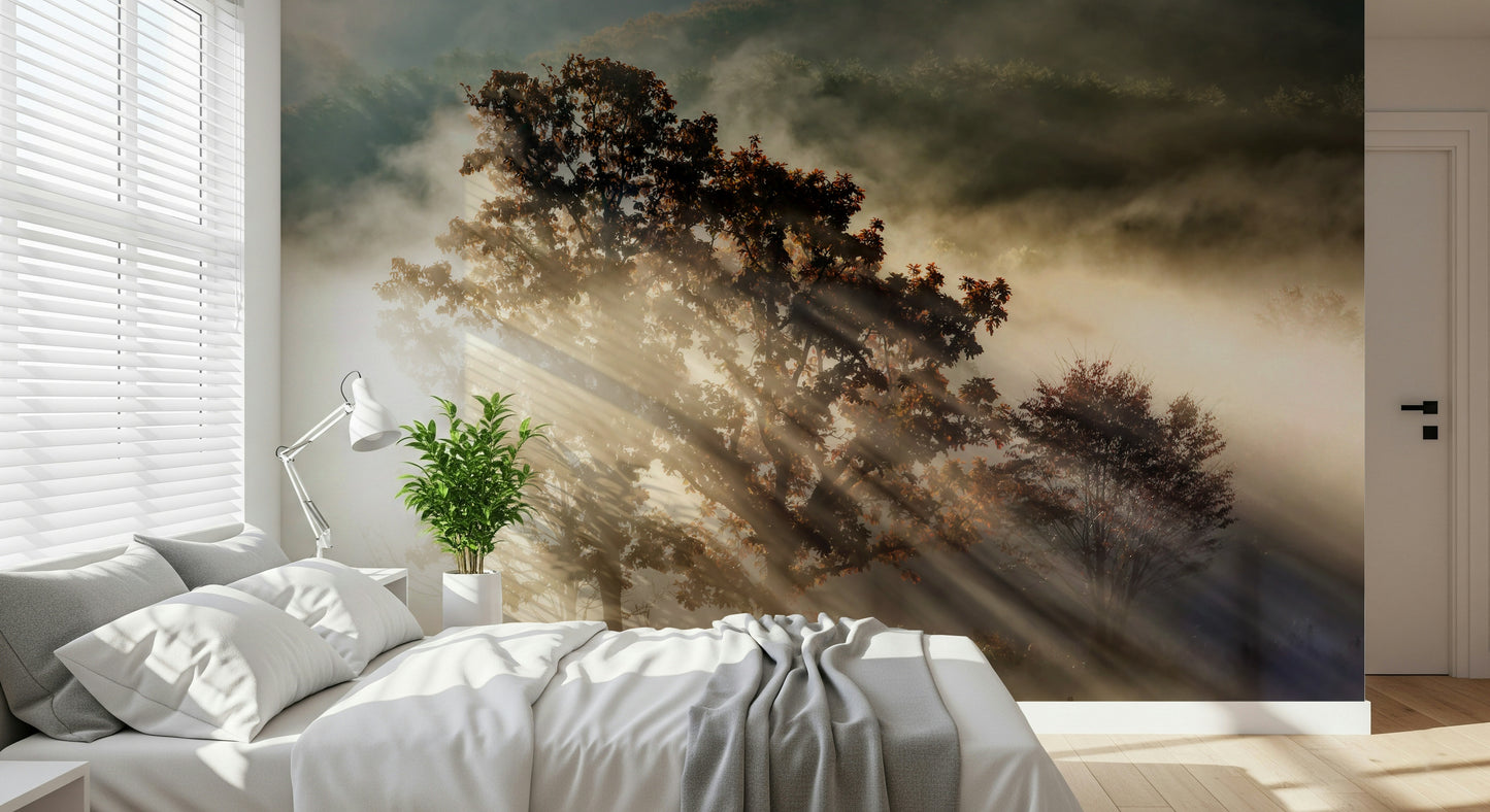 Sunbeam Woodland wall art, sublime lighting, misty field, warm colors.