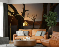 Namibian desert Arid Woodland Ghost art, striking natural photography.