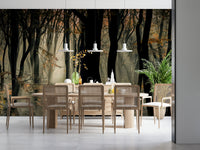 Dark trees, wallpaper for walls, magical light beams, Mystic Woods.