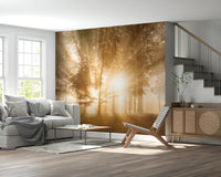 Luminous shafts woodland Golden Rays Through Trees peel stick wallpaper.