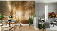 Radiant forest clearing Golden Rays Through Trees decor wallpaper.