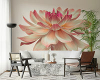 Delicate Pink Dahlia bloom wallpaper, fantastic home upgrade.
