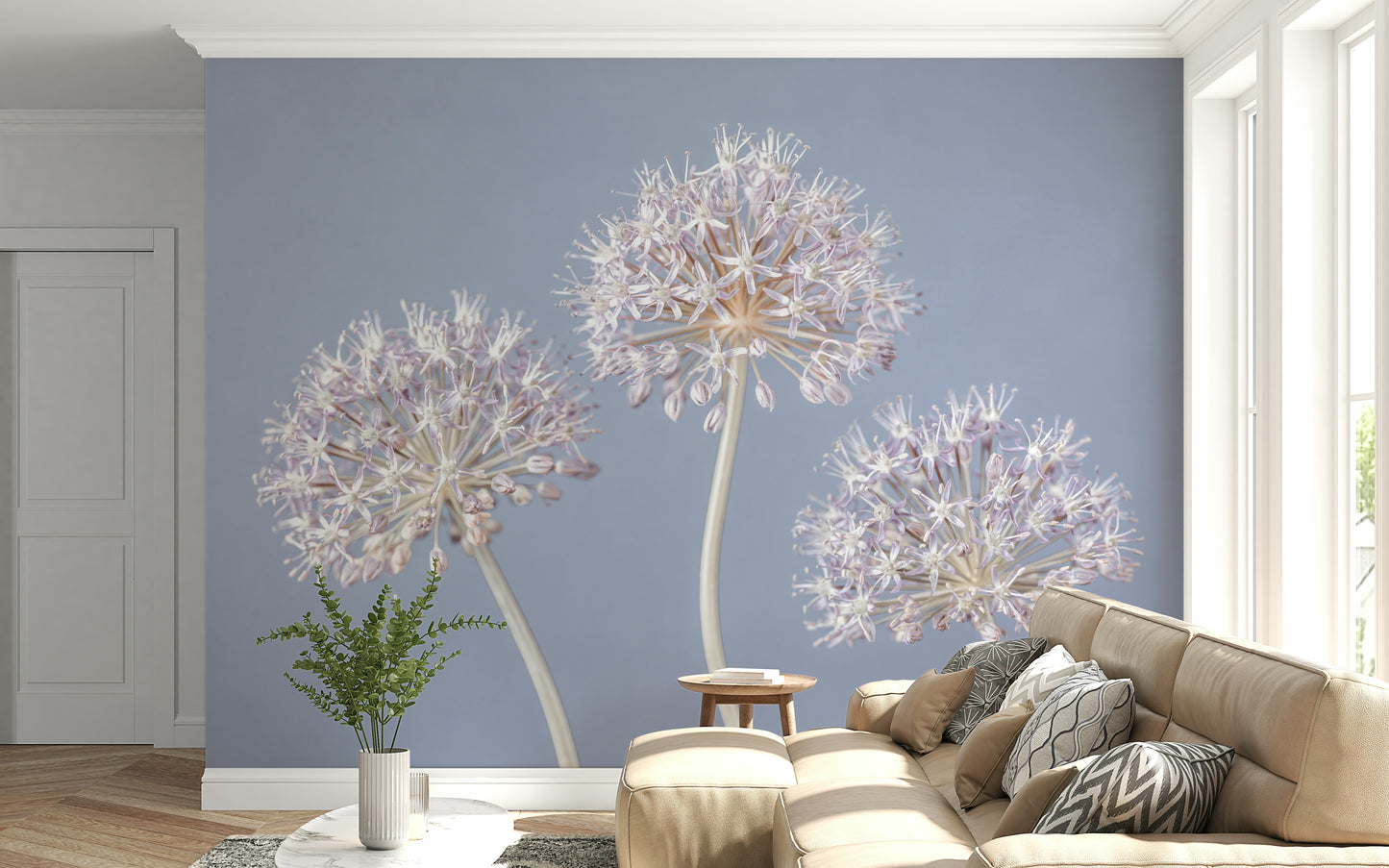 Airy and modern photograph, Allium Triplet floral wall decor.