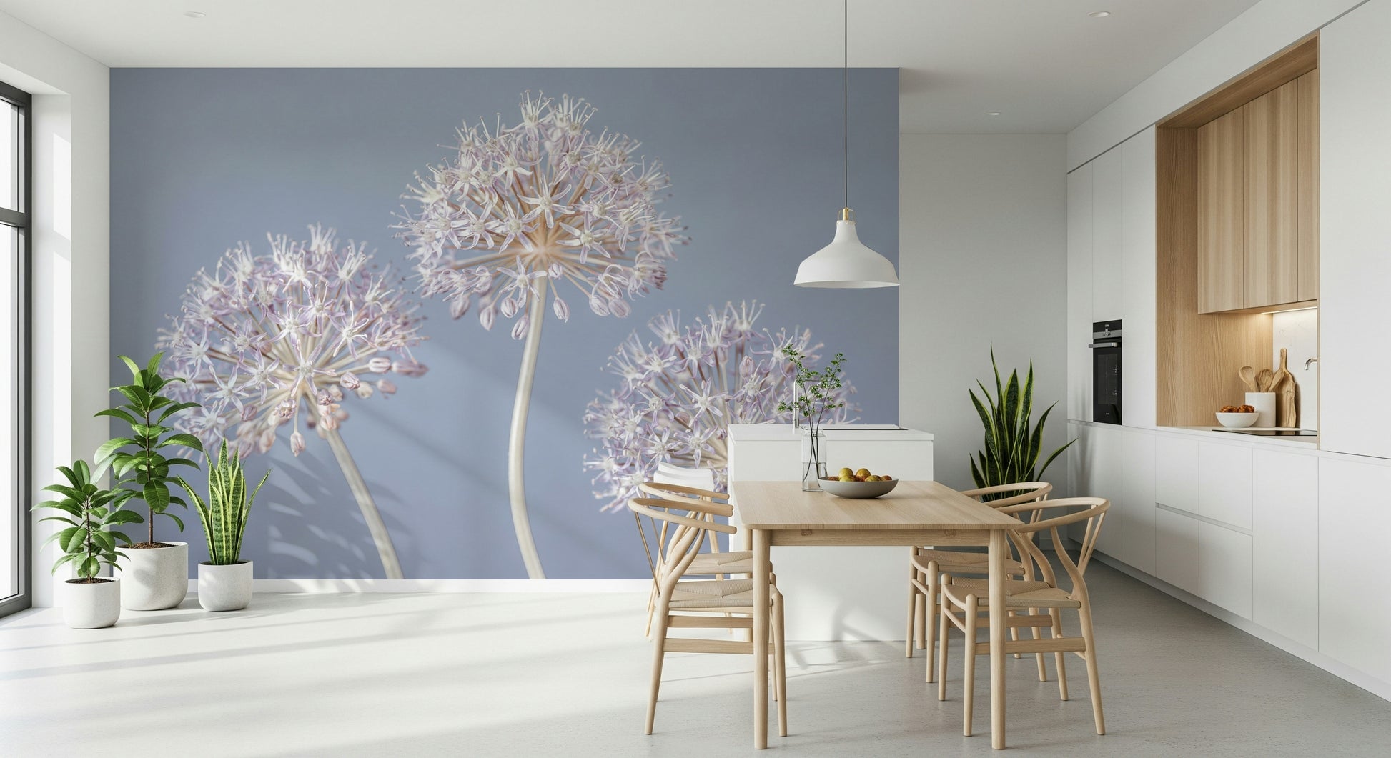 Decorative allium puff study, Allium Triplet mural for walls.