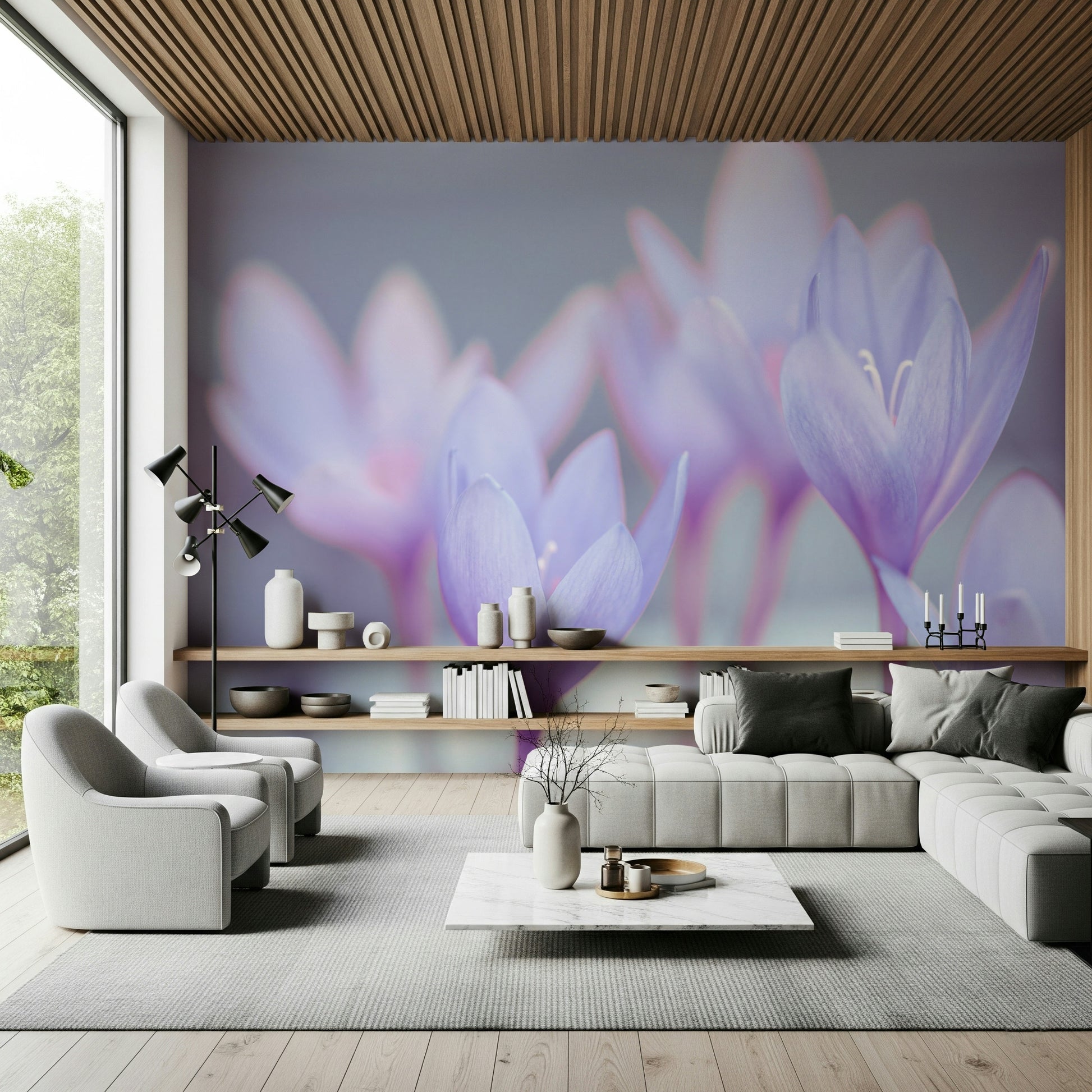 Macro photograph of spring Crocus blossoms, ethereal botanical print.