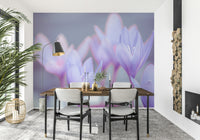 Nature-inspired wall art, light and joyful feeling, Crocus background image.
